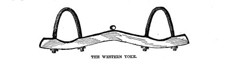 The Western Yoke