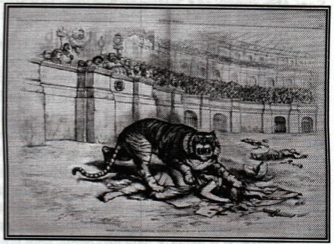 Tammany Tiger