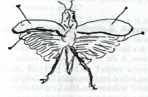 Grasshopper